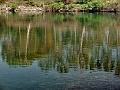 adda (2)
